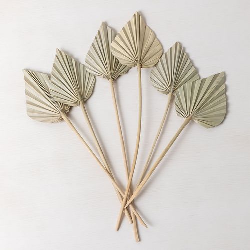 Lot De 6 Branches Séchées Décoratives Beliefe Vert Bambou