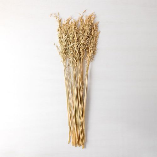 Branche Décorative Jayra Beige Crème
