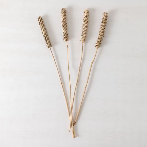 Pack De 4 Branches Sèches Décoratives Salix Beige Crème