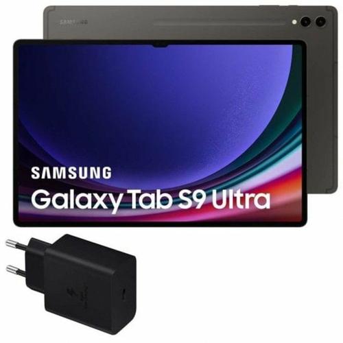 Tablette Samsung Galaxy Tab S9 Ultra Gris 1 TB 256 GB
