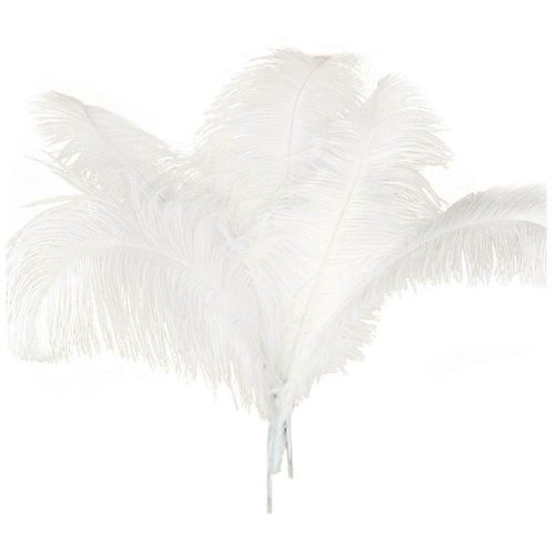 10 Pcs Plumes D¿Autruche Naturelles Décoration De Fête De Mariage Blanc 45-50cm