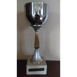 COUPE TROPHEE 33 CM