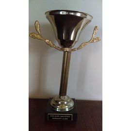 COUPE TROPHEE - HAUTEUR 25 CM