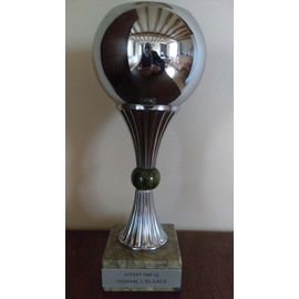 COUPE TROPHEE - HAUTEUR 25 CM