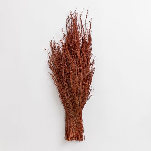 Branches Décorative Dimka Rouge Argile