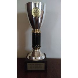 COUPE TROPHEE - HAUTEUR 23 CM