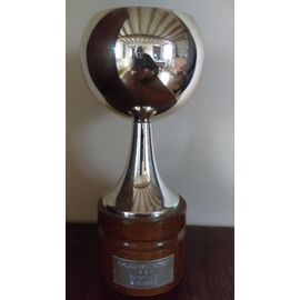 COUPE TROPHEE – HAUTEUR 27 CM