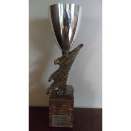 COUPE TROPHEE - HAUTEUR 30 CM