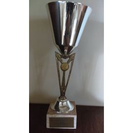 COUPE TROPHEE – HAUTEUR 39 CM