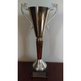 COUPE TROPHEE – HAUTEUR 23 CM