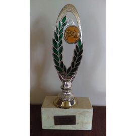 TROPHEE – HAUTEUR 29 CM