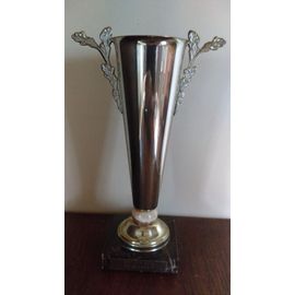 COUPE TROPHEE – HAUTEUR 30 CM