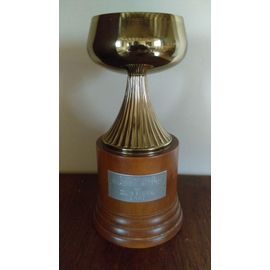COUPE TROPHEE – HAUTEUR 23 CM