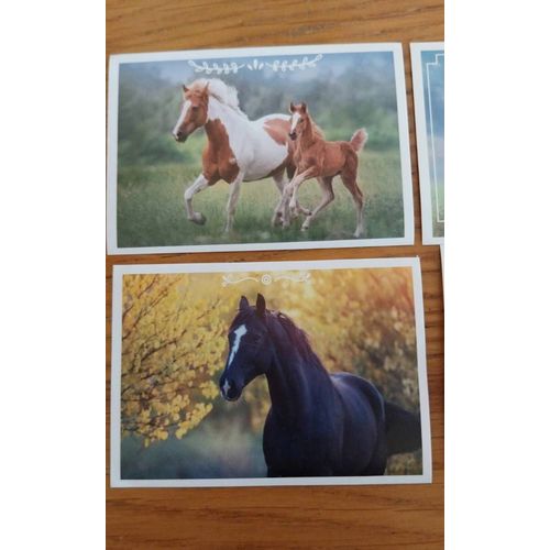 Vignettes Panini Chevaux