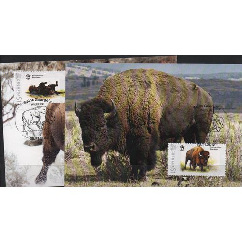 Grenade Cartes Postales Animaux : Les Bisons 2012