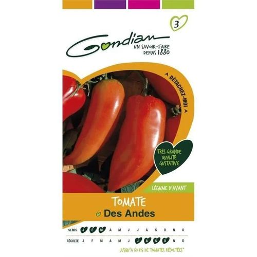 Gondian Tomate Cornue Des Andes