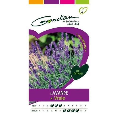 Gondian - Graines Légumes : Semences Lavande Vraie Violet