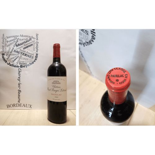 Château Haut Bages Libéral 2009 - Pauillac - 5ème Grand Cru Classé - 1 X 75 Cl - Rouge
