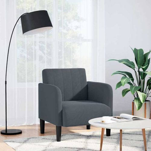 Vidaxl Fauteuil Avec Accoudoirs Gris Foncé 54 Cm Velours