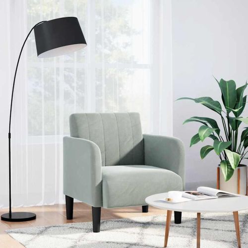 Vidaxl Fauteuil Avec Accoudoirs Gris Clair 54 Cm Velours