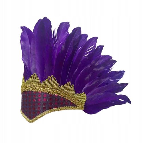 Coiffe en plumes, mode, chef américain, indigène indien, chapeau de coiffe violette