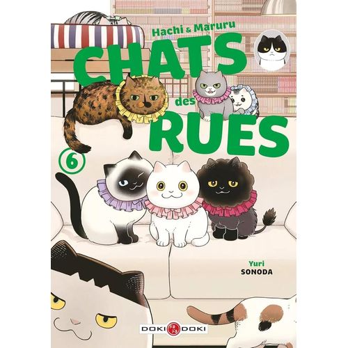 Hachi Et Maruru - Chats Des Rues - Tome 6