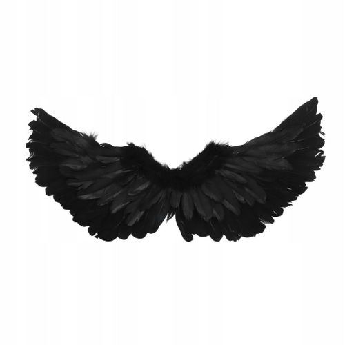 Costume D'ange Noir Avec Ailes Noires
