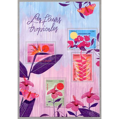 Série Nature : Flore ; Les Fleurs Tropicales Feuillet 5750 Année 2024 N° 5750 5751 5752 5753 Yvert Et Tellier Luxe