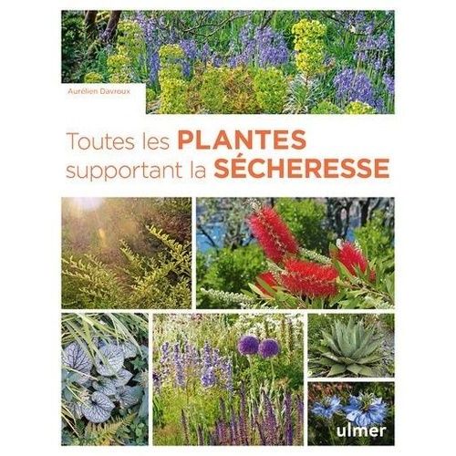 Toutes Les Plantes Supportant La Sécheresse