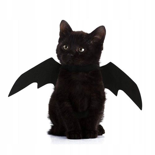 Costume D'élève Batman Wings - Noir