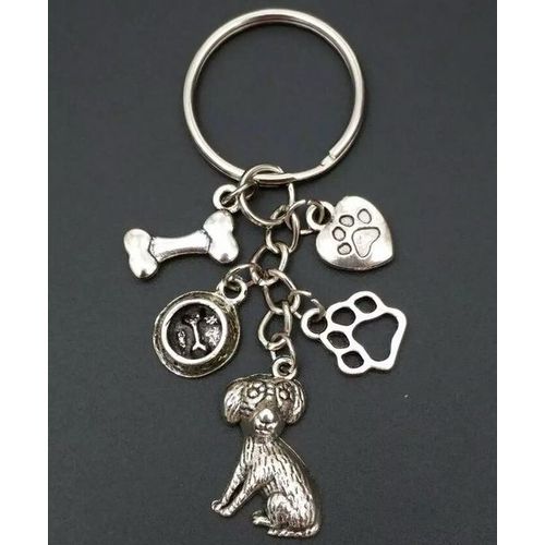 Lot De 10 Porte-Clés Mixte En Alliage Imprimé, Bol, Os Et Patte De Chien, Breloque Pour Femmes Et Filles, Pendentif, Bijoux, Accessoires
