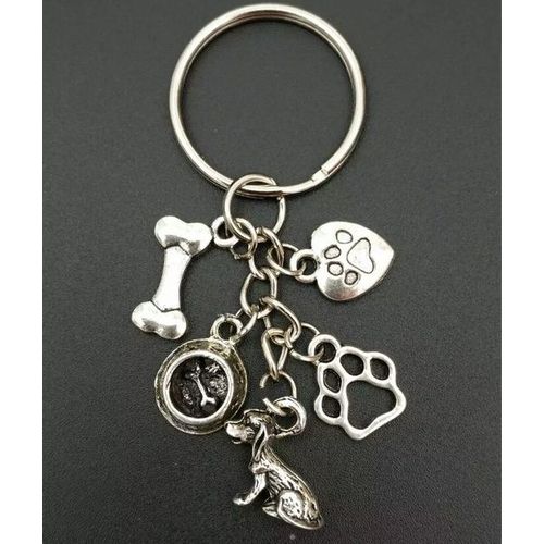 Lot De 10 Porte-Clés Mixte En Alliage Imprimé, Bol, Os Et Patte De Chien, Breloque Pour Femmes Et Filles, Pendentif, Bijoux, Accessoires