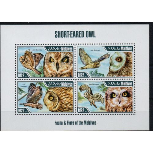 Maldives Timbres Animaux : Les Hiboux 2013