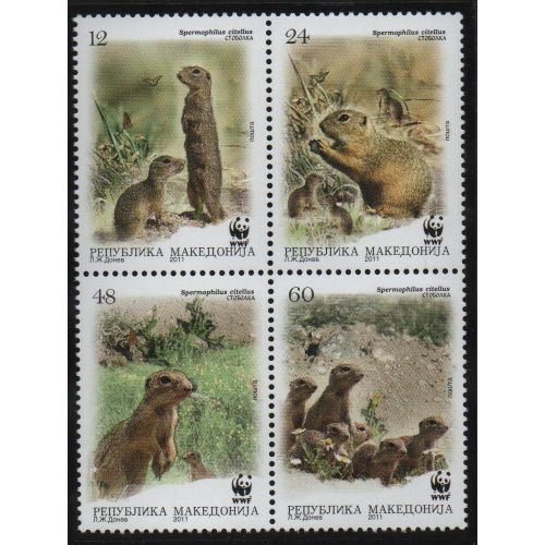 Macédoine Timbres Animaux : Les Écureuils 2011