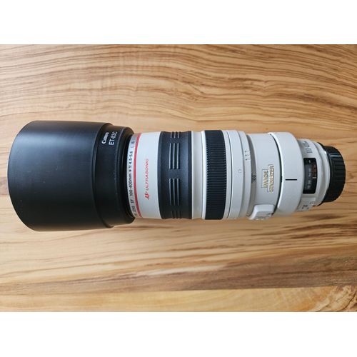 Canon EF 100-400mm f/4.5-5.6L IS USM.