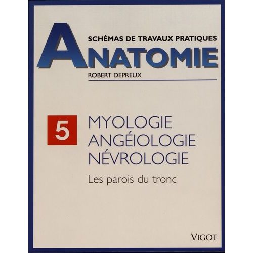 Myologie, Angéiologie, Névrologie - Les Parois Du Tronc
