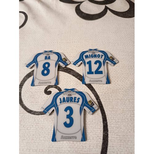 Magnet Auxerre 2008