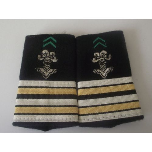 Fourreaux Neuf Grade Lieutenant-Colonel Arme Blindé Et Cavalerie Chasseurs Métropolitains Cuirassiers