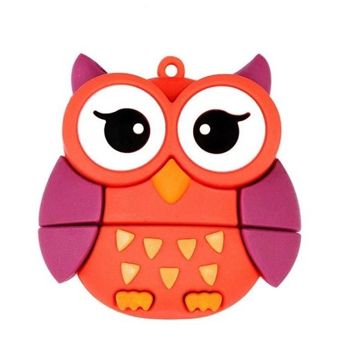 Clé USB 2.0 de 128 Go-Design de hibou mignon | Microdrive