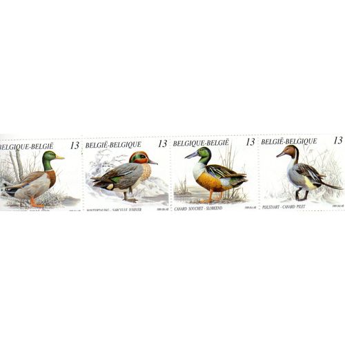 Belgique Timbres Animaux Canards Et Poissons