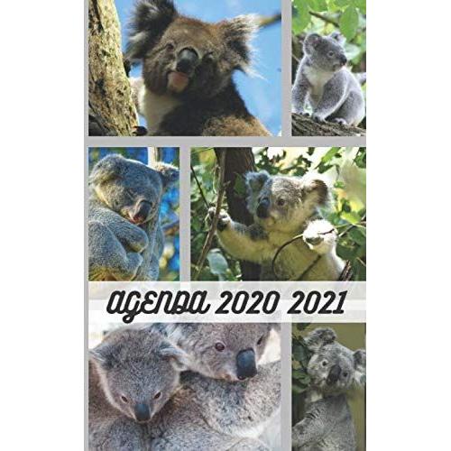 Agenda 1an 2020 2021 / Couverture Koala Mignon Australie / 300 Pages