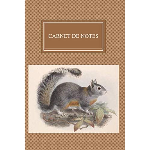 Carnet De Note Écureuil - Ligné À Remplir: Carnet Pour Prise De Note Rongeur, 100 Pages Format 6 Po Sur 9 Po