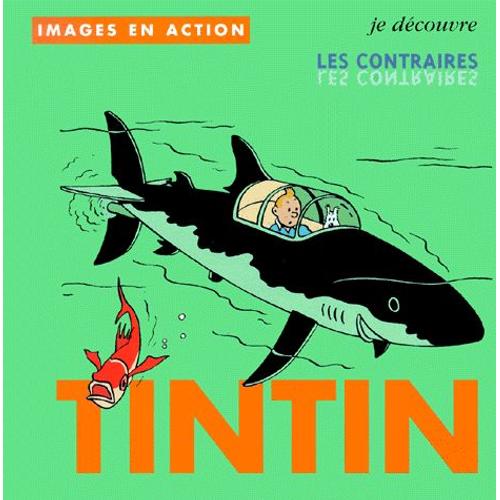 Je Découvre Les Contraires Avec Tintin
