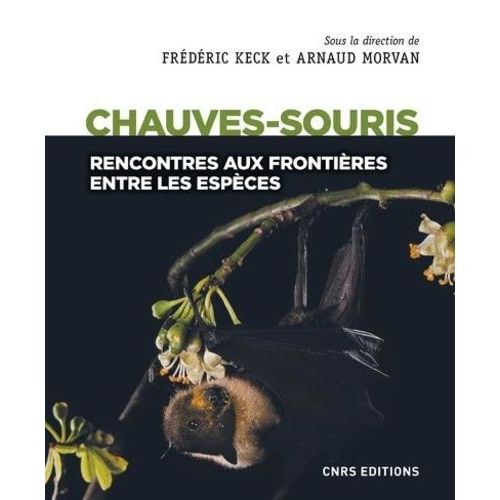Les Chauves-Souris - Rencontres Aux Frontières Entre Les Espèces