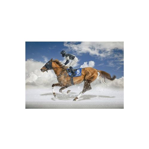Puzzle Educa - White Turf, Pferderennen Finale À St. Moritz, 1500 Pièces