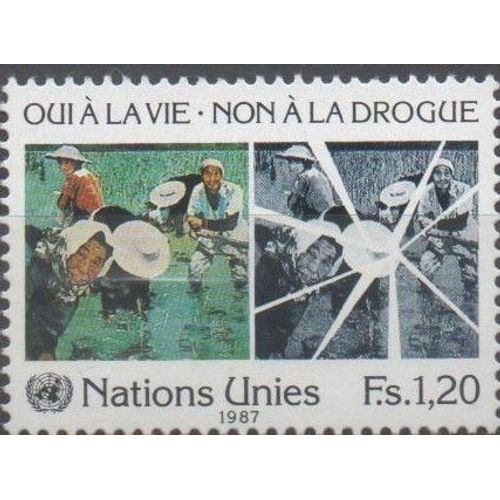 Nations Unies Timbres Lutte Contre La Drogue 1987