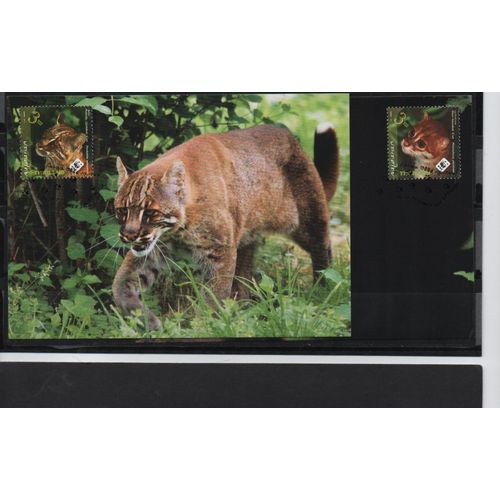 Thaïlande Cartes Animaux ; Les Chats 2011