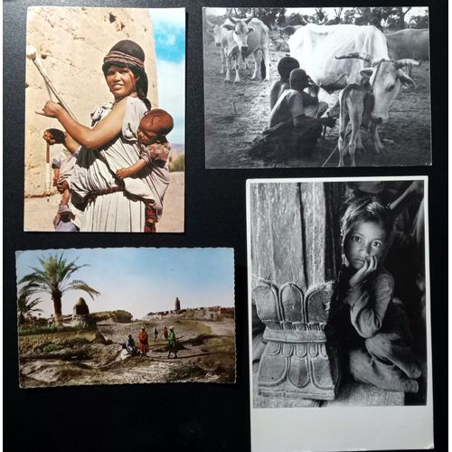 Lot 4 Jolies Cartes Postales Maroc, Algérie Sahara, Sénégal, Indes