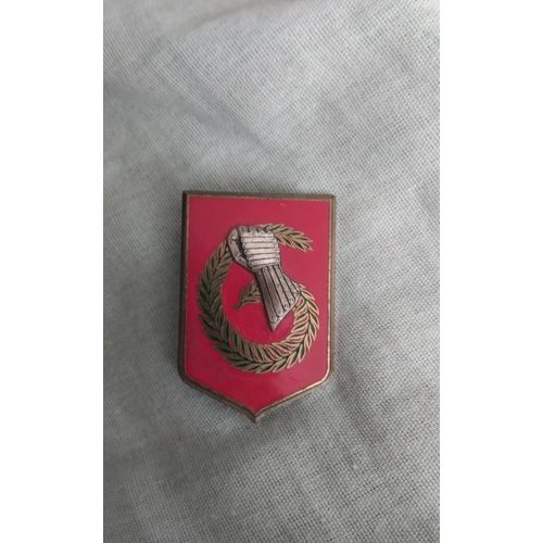 Insigne 6 Ème Division Blindée Légère, Delsart
