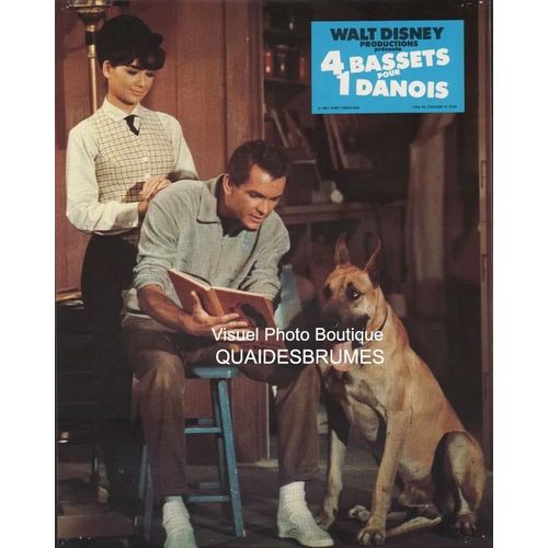 4/Quatre Bassets Pour 1/Un Danois - The Ugly Dachshund, Walt Disney: Jeux A+B De Photos D'exploitation Cinmatographique - Format 24x30 Cm - De Norman Tokar Avec Dean Jones, Suzanne Pleshette - 1966